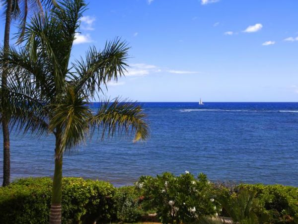 Lahaina Home 966554