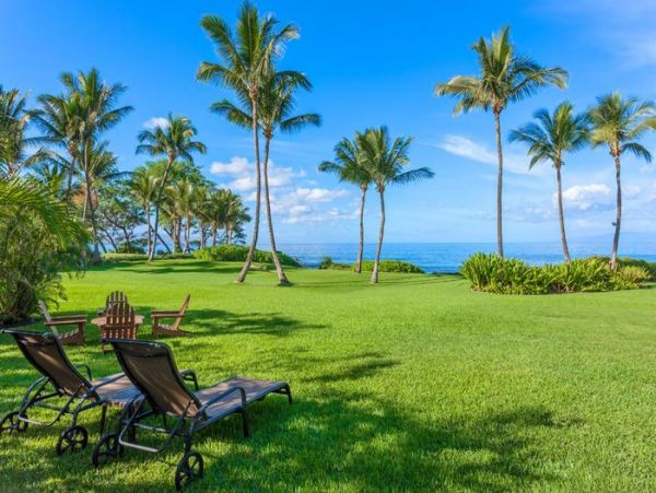 Wailea Home 966568