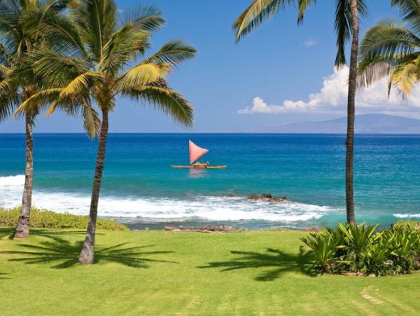 Wailea Home 966568
