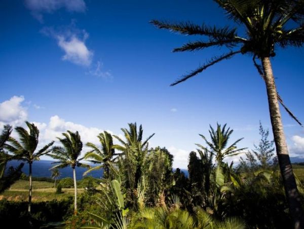 Wailea Home 966571