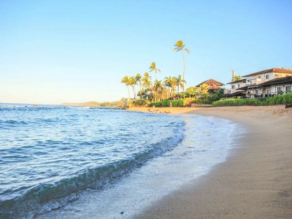 Amazing Estate plus Guest House with Private Pool in Koloa