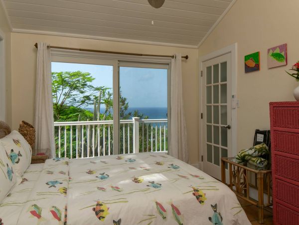 Oceanview St. John Vacation Home Plus Guest House