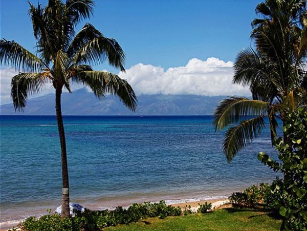 Lahaina Condo 966667