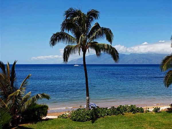 Lahaina Condo 966667