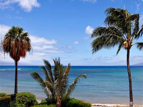 Lahaina Condo 966668