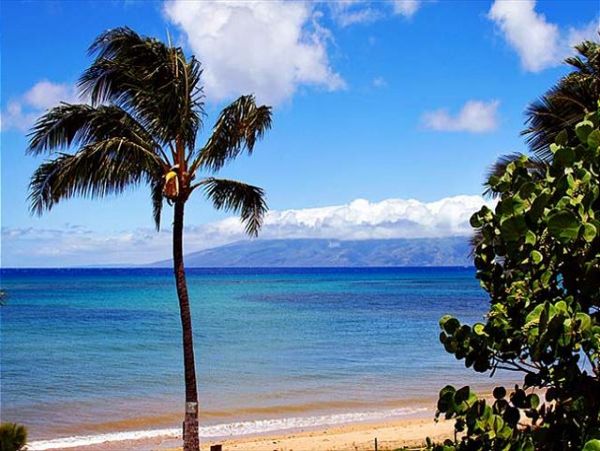 Lahaina Condo 966668