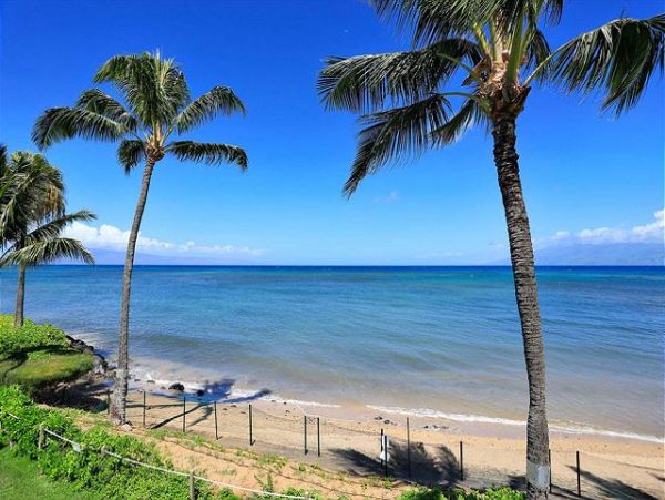 Lahaina Condo 966670