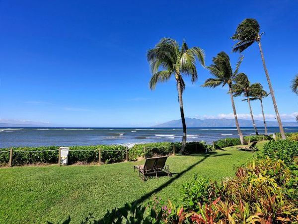 Lahaina Condo 966682