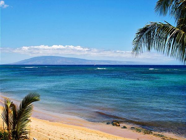 Lahaina Condo 966684