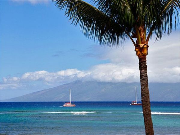 Lahaina Condo 966684
