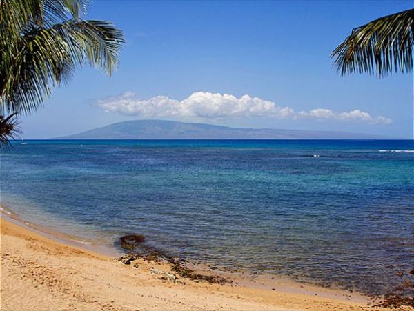 Lahaina Condo 966686