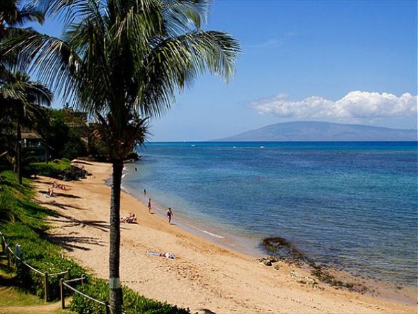 Lahaina Condo 966686