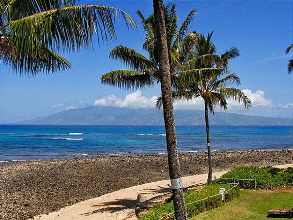 Lahaina Condo 966686