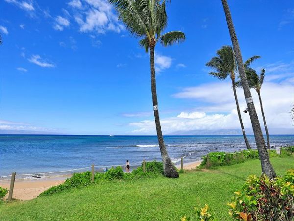 Lahaina Condo 966687