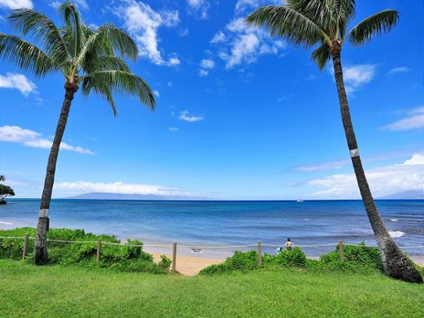 Lahaina Condo 966687