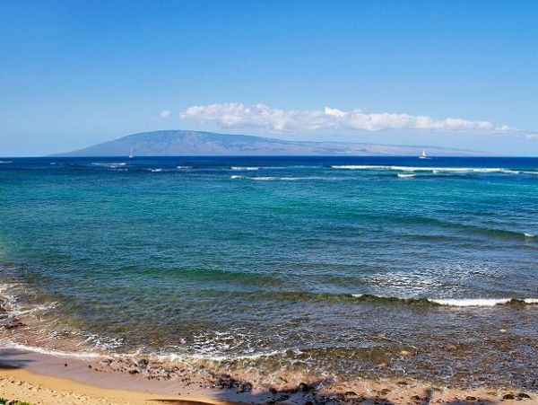 Lahaina Condo 966688