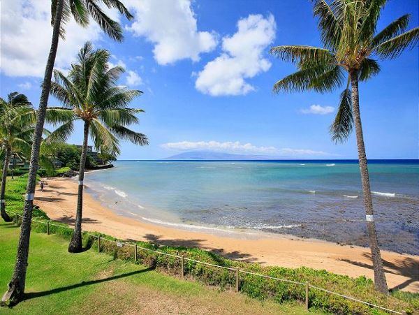 Lahaina Condo 966689