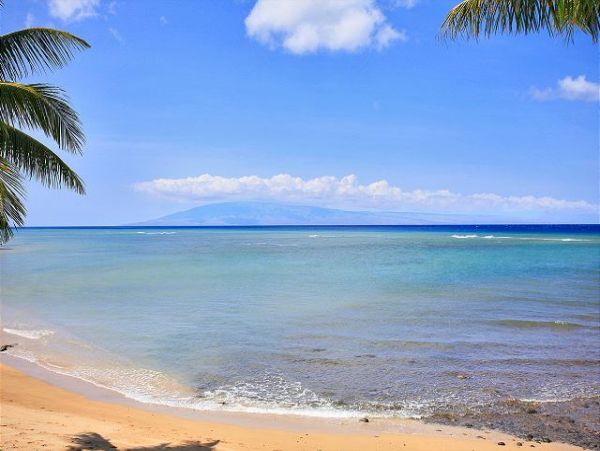 Lahaina Condo 966689