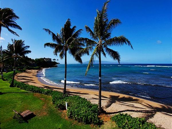 Lahaina Condo 966690