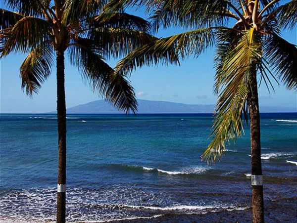Lahaina Condo 966690