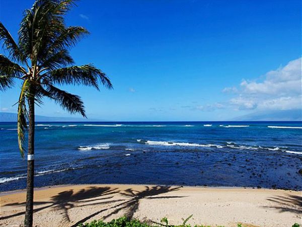 Lahaina Condo 966690