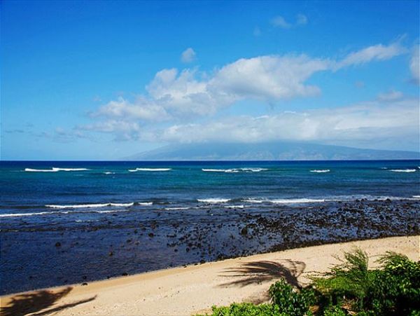 Lahaina Condo 966690