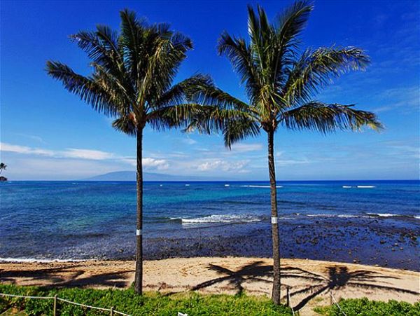 Lahaina Condo 966691