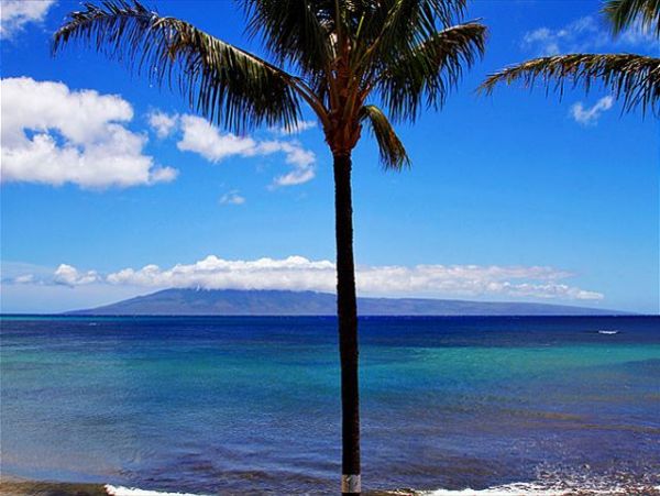Lahaina Condo 966691