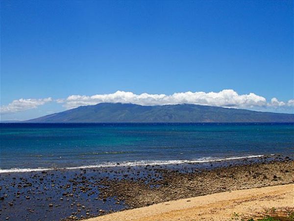Lahaina Condo 966691