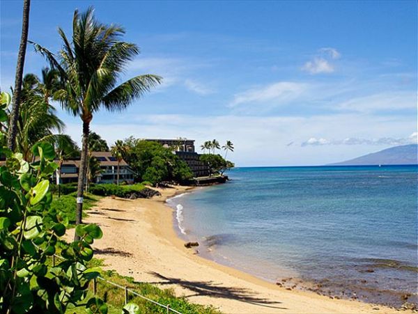 Lahaina Condo 966691