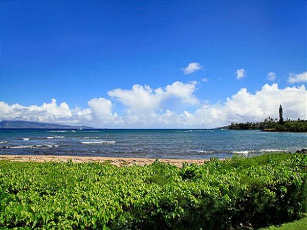 Lahaina Condo 966693