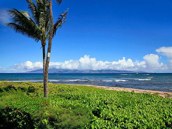 Lahaina Condo 966693