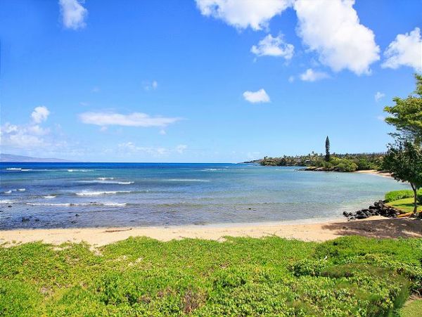 Lahaina Condo 966694
