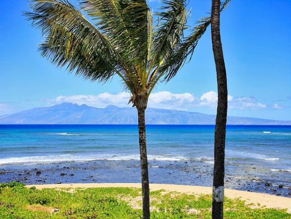 Lahaina Condo 966694