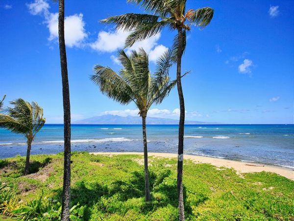 Lahaina Condo 966694