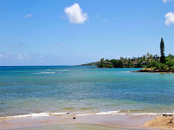 Lahaina Condo 966695