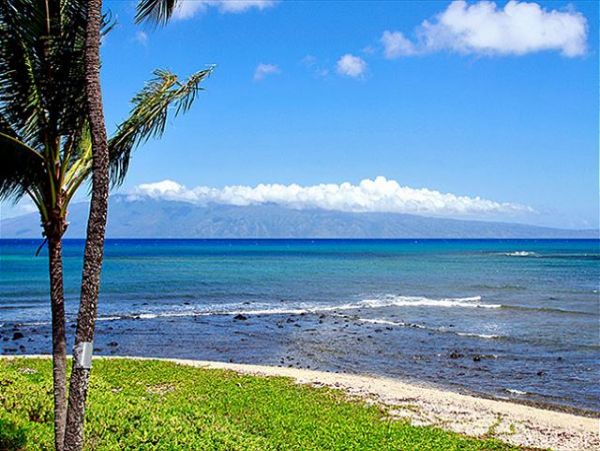 Lahaina Condo 966695