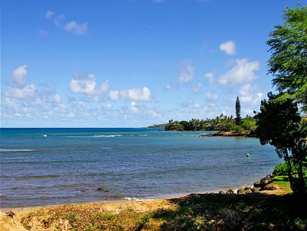 Lahaina Condo 966696