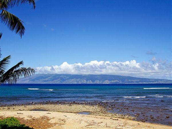 Lahaina Condo 966696