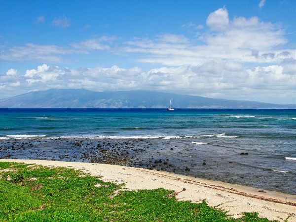 Lahaina Condo 966697