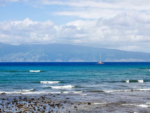 Lahaina Condo 966697