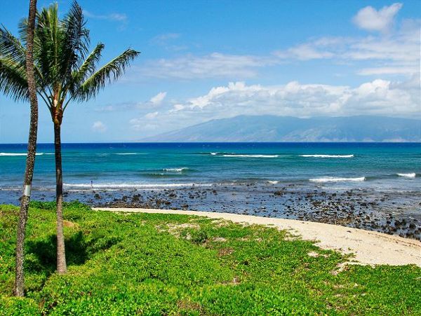 Lahaina Condo 966697