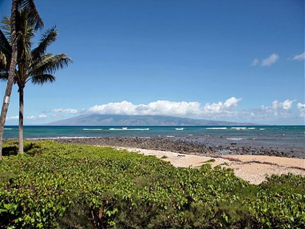 Lahaina Condo 966698