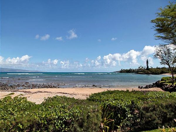 Lahaina Condo 966698
