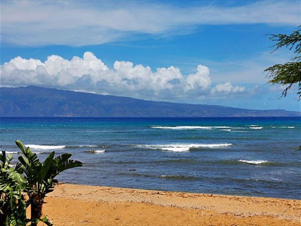 Lahaina Condo 966699