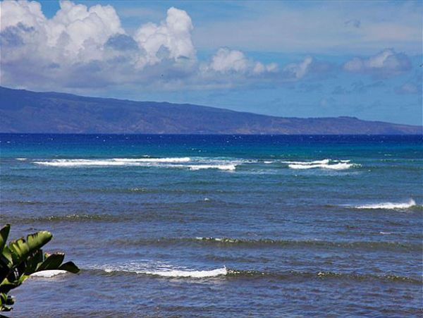 Lahaina Condo 966699