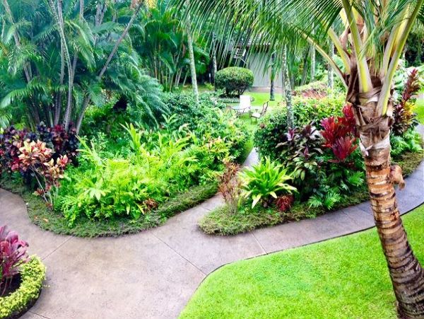 Lahaina Condo 966699