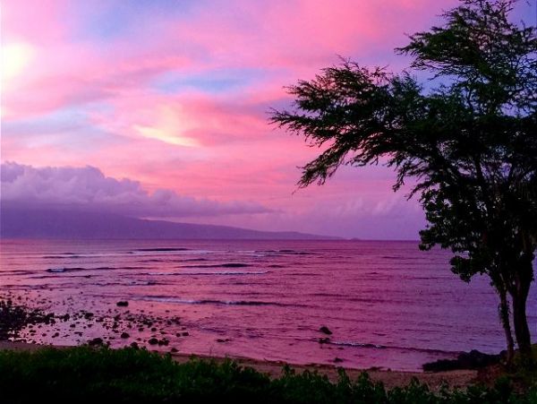 Lahaina Condo 966699