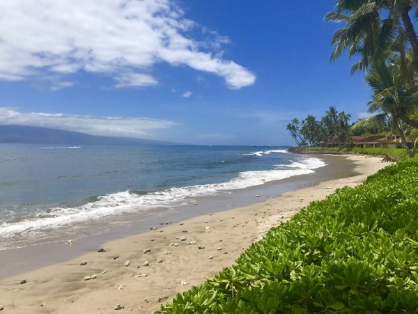 OCEANFRONT VIEWS FROM THIS 3 BEDROOM MAUI CONDO