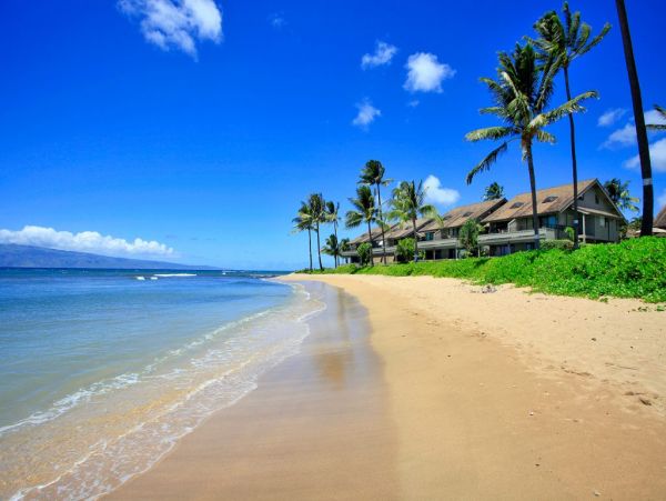 OCEANFRONT VIEWS FROM THIS 3 BEDROOM MAUI CONDO